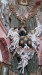 20180519_143503 (1)